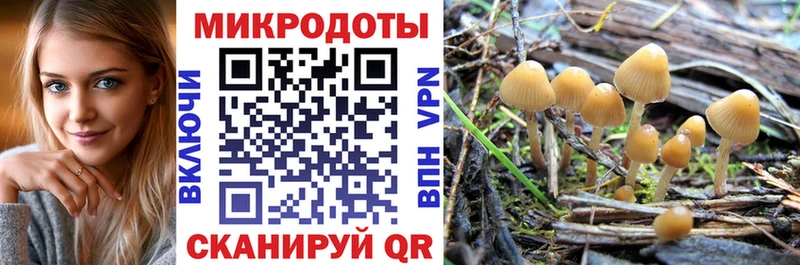 Купить  Бабушкин  Галлюциногенные грибы Psilocybine cubensis 