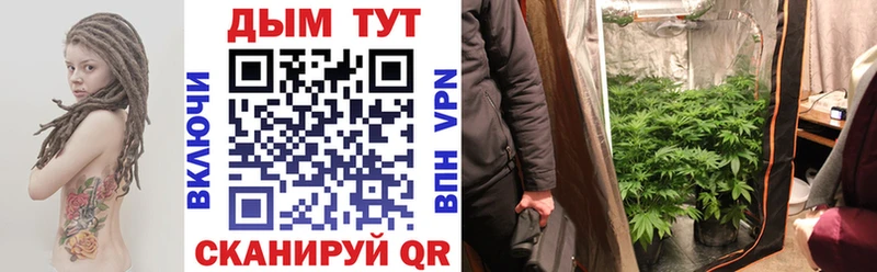 Купить где  Бабушкин  Марихуана план 